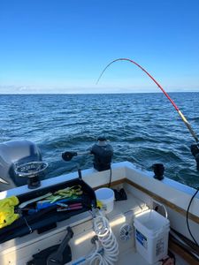 Fishing Near Nanaimo
